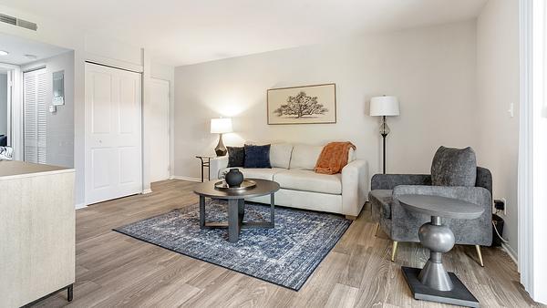 The Carlisle at Dunedin