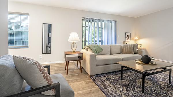 The Carlisle at Dunedin