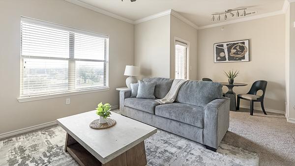 Viceroy at Central Park