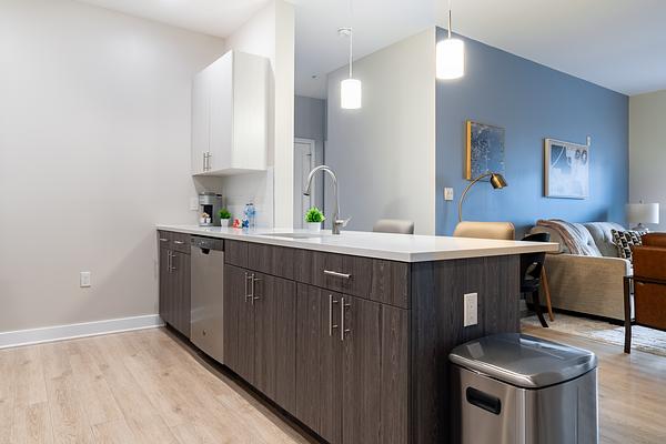 The Preserve at Great Pond