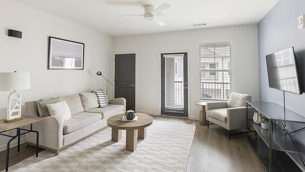 Collier at Clift Farm