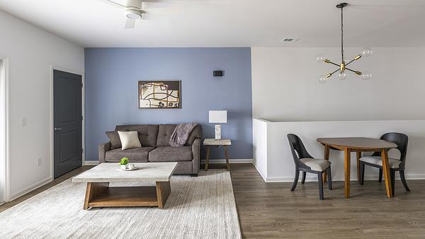 Collier at Clift Farm