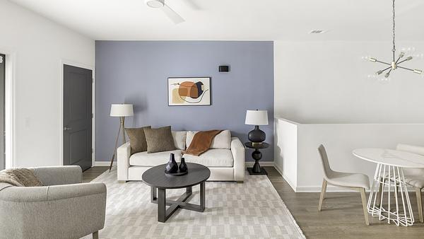 Collier at Clift Farm