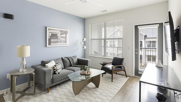 Collier at Clift Farm