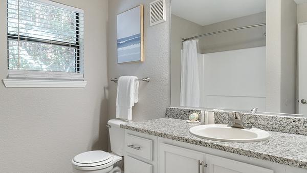 The William at Westshore