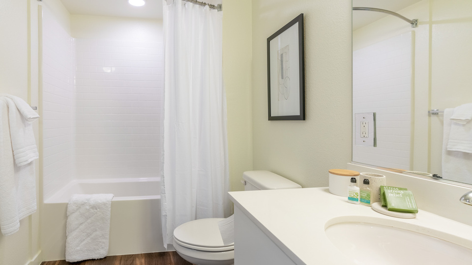 Rent Ely on Fremont 478 in Las Vegas, NV Landing