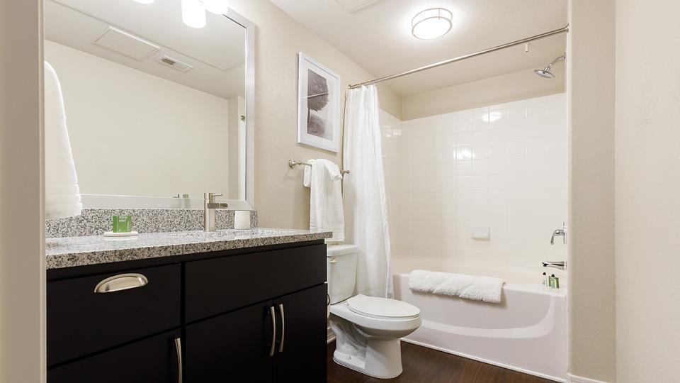 Rent Cortland Mountain Vista 3049 in Mesa, AZ Landing