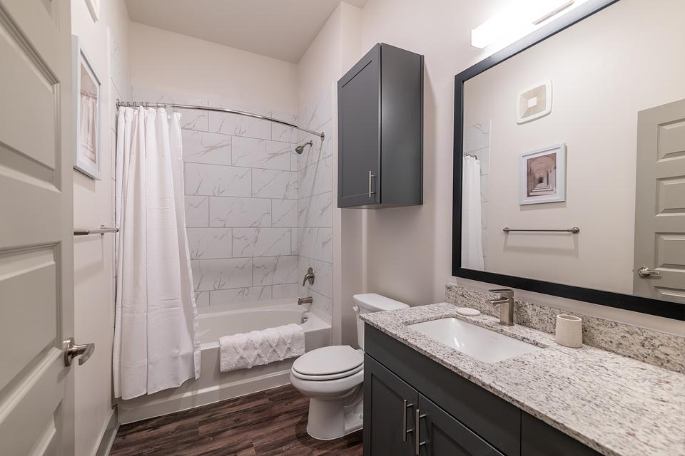 Rent Lucia 2453 in Frisco, TX Landing