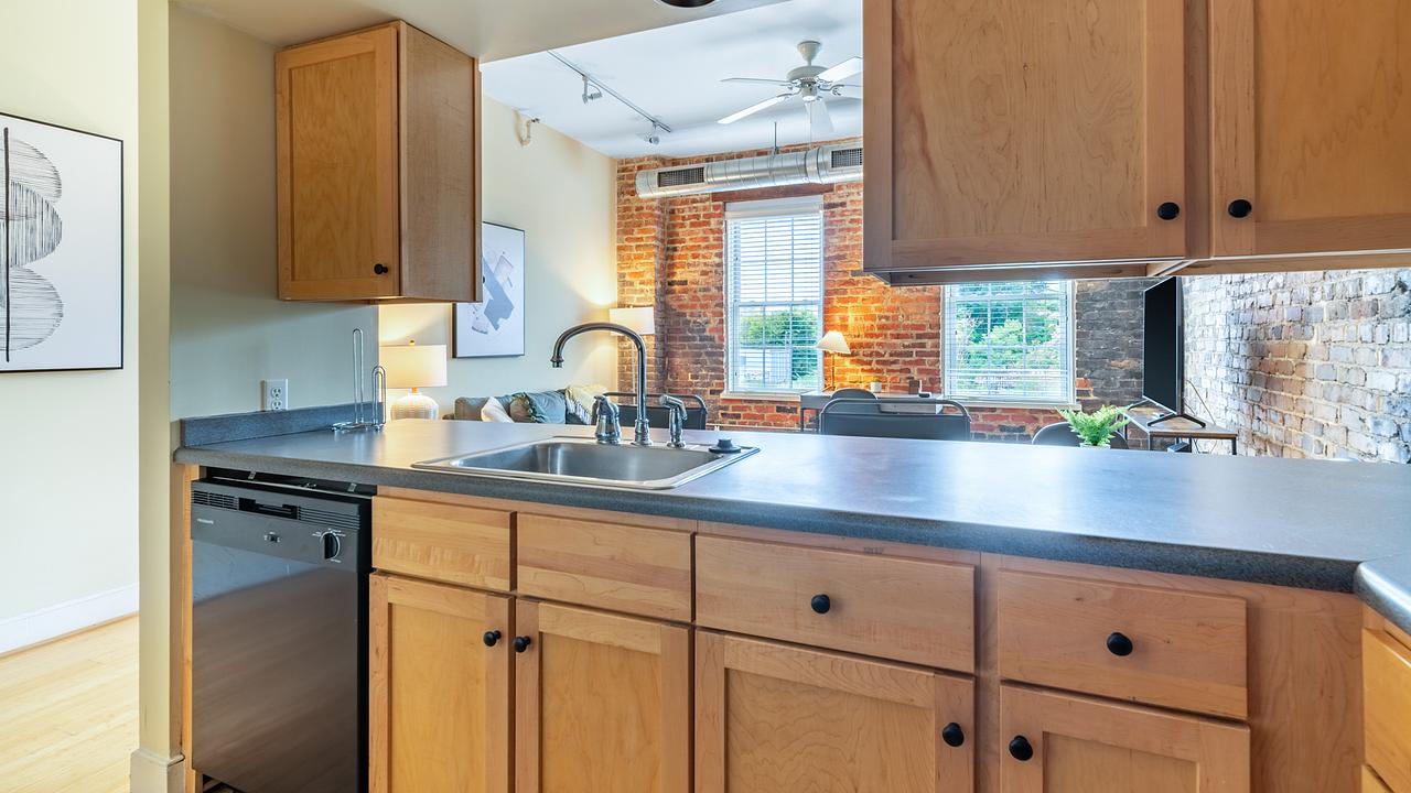 Rent Mayton Transfer Lofts 410 in Petersburg, VA Landing