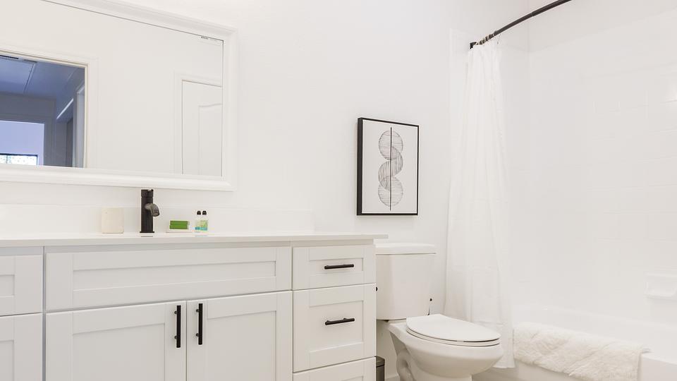 Rent Lazo Apartments 3070 in Chandler, AZ Landing