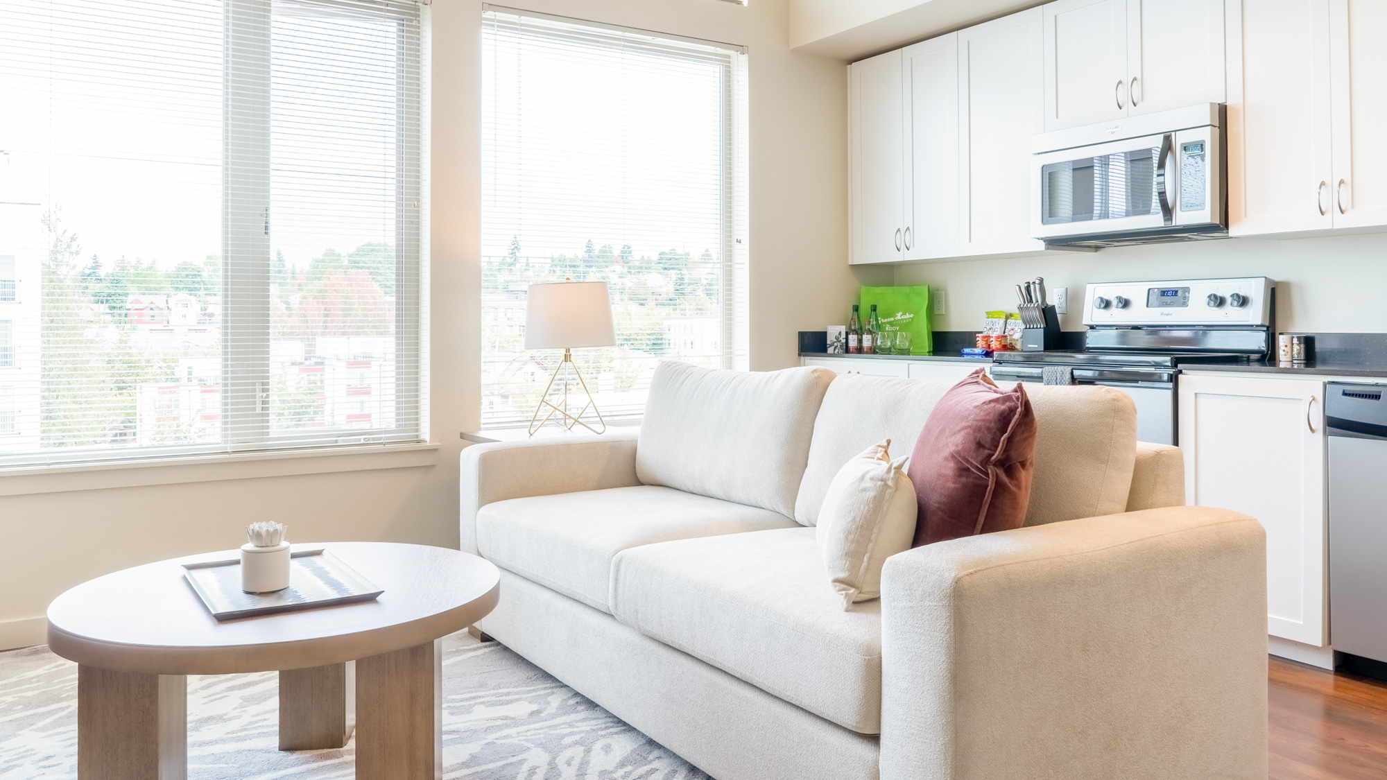 Rent Green Lake Village N511 in Seattle, WA Landing