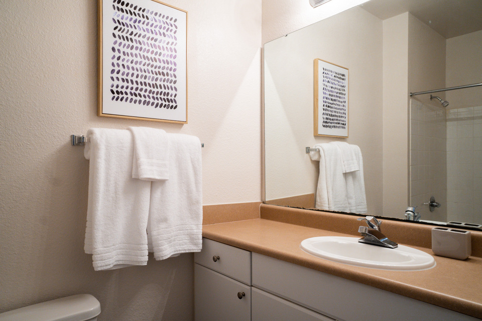 Rent Alden Place at South Square A05207 in Durham, NC Landing