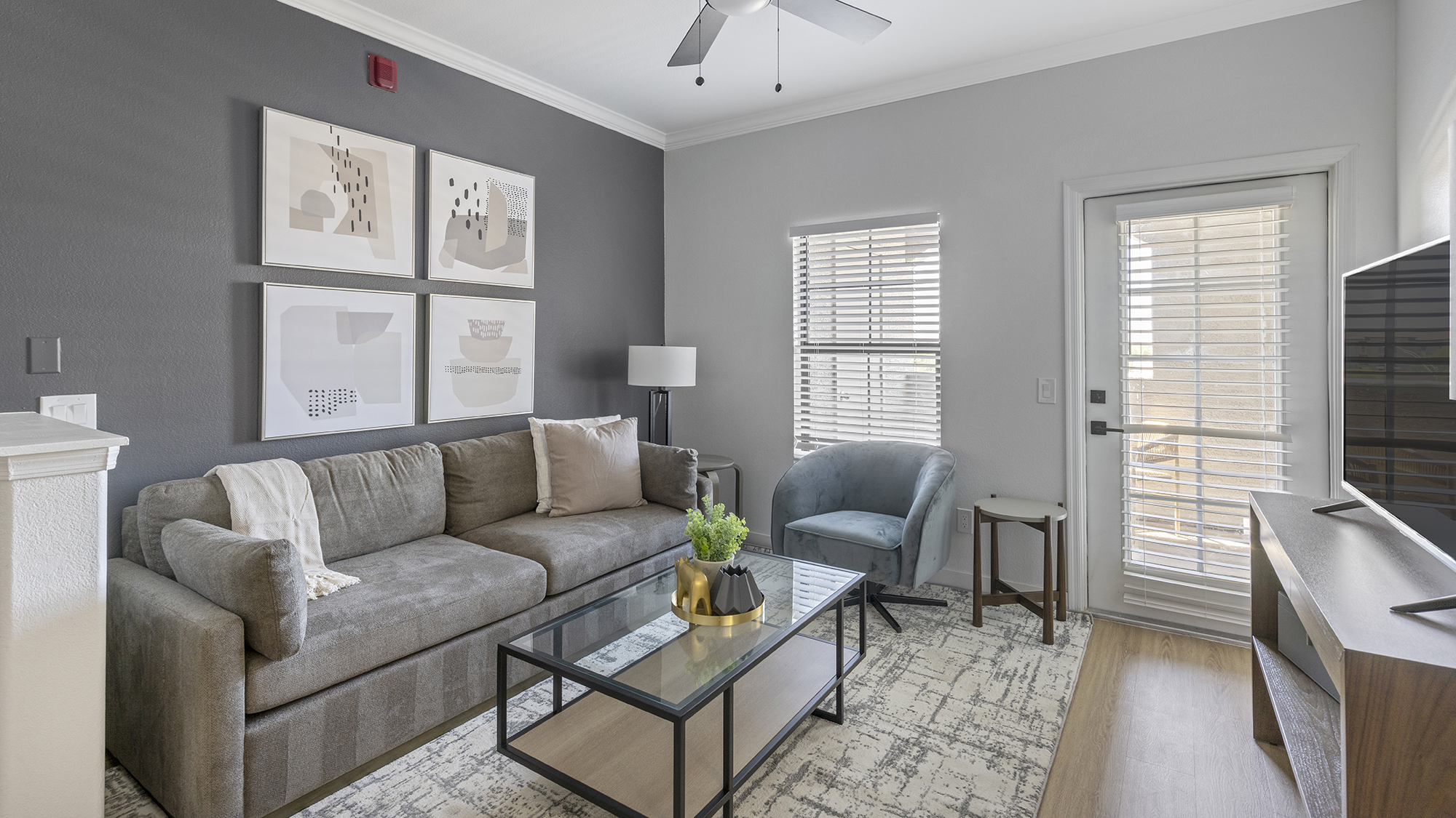 Rent Lazo Apartments 3065 in Chandler, AZ Landing