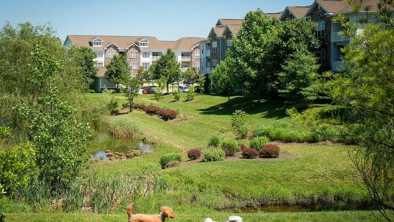 0 Apartments for Rent at The Elms at Montjoy in Columbia, MD