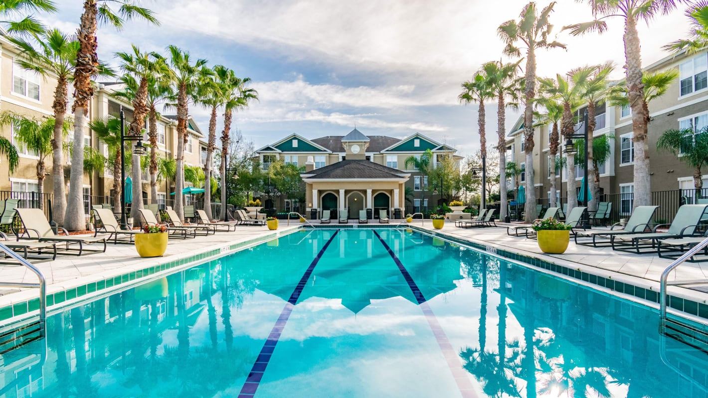 1 Apartments for Rent at Seasons at Westchase in Brandon, FL